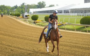 Black Eyed Susan Stakes contender Towhead trains Wednesday morning at Pimlico Race Track