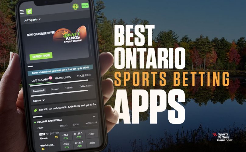 How To Learn Live Betting App