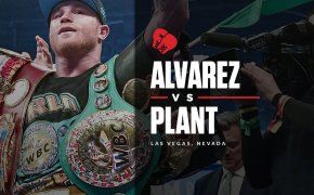 Alvarez vs Plant