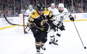 Boston Bruins right wing David Pastrnak against the Los Angeles Kings
