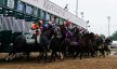 Jockeys riding a group of horses as they emerge from the starting gates of a race.