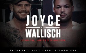 Joyce vs Wallisch