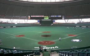 The Seibu Dome, home of the Lions
