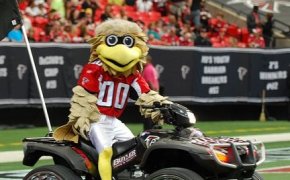 Atlanta Falcons mascot.