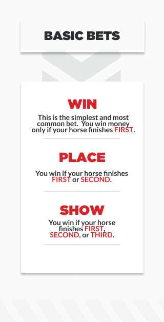 infographic outlining basic bets in horse racing