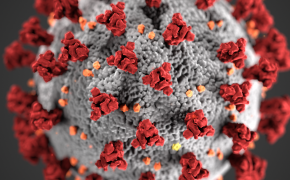 Mock-up of a coronavirus cell