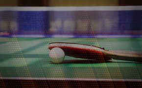table tennis paddle, ball and net