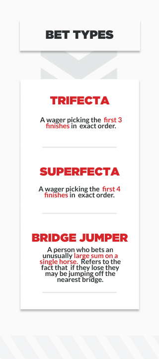 infographic showing different types of wagers in horse race betting