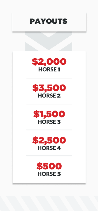 infographic showing payout amounts for 5 horses in a race