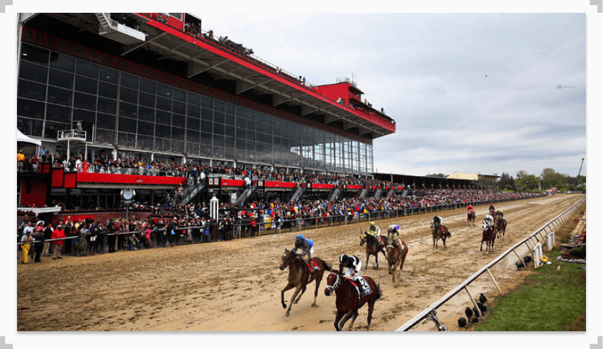 Photo of horses racing during Preakness Stakes
