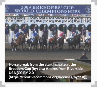 Horses leaving the gate at the Breeder's Cup
