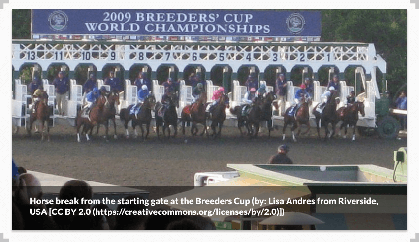 Horses leaving the gate at the Breeder's Cup
