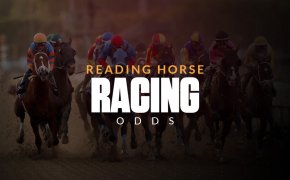 Horses in a race