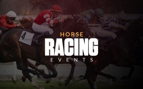 horses participating in a race event, underneath article title 'horse racing events'