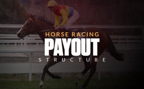 a rider on a horse participating in a race, with the article title 'horse racing payout structure' displayed