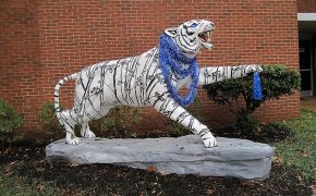 The Memphis Tigers mascot