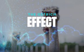 The ostrich effect text overlay on ostriches